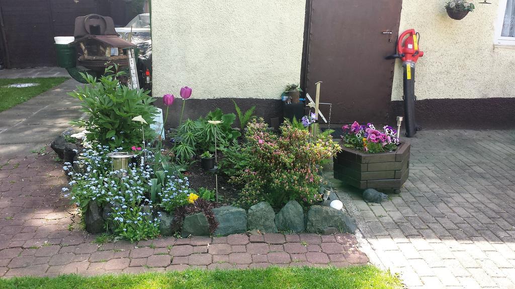 Ferienwohnung Cziesla Bad Sachsa Buitenkant foto